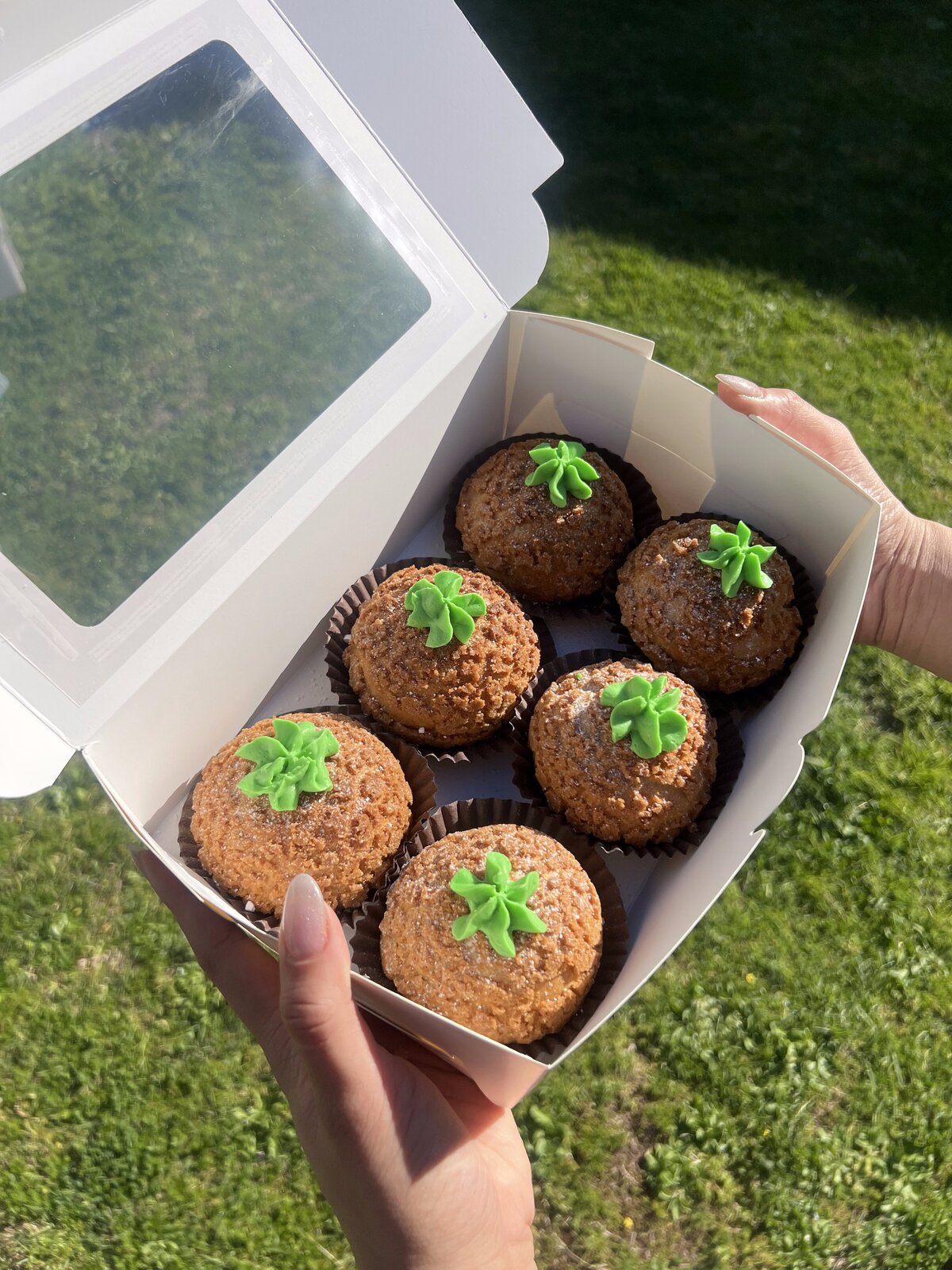 Box of decorated cupcakes